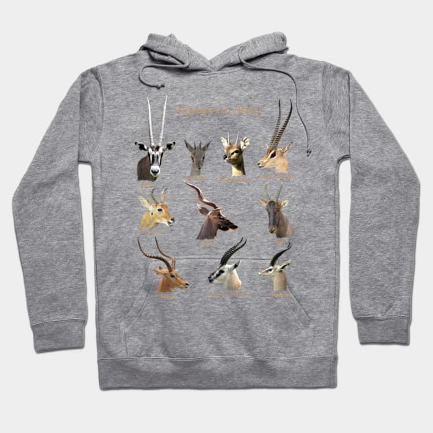 Antelopes in Africa Hoodie by T-SHIRTS UND MEHR